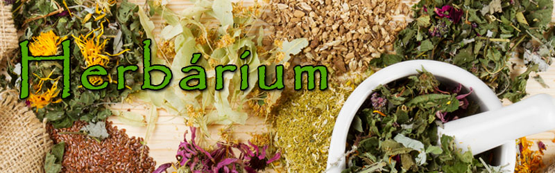 cover_herbarium